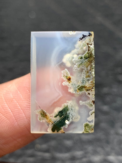 Scenic Moss Agate Rectangle Cabochon 20x13x3.8mm