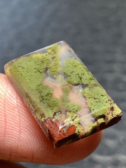 Scenic Moss Agate Rectangle Cabochon 18x11.5x3.5mm