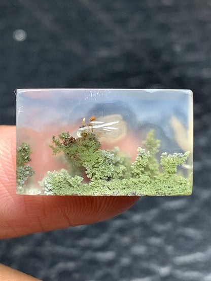 Scenic Moss Agate Rectangle Cabochon 20x12x4mm