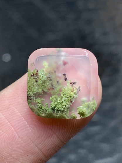 Scenic Moss Agate Square Cabochon 11x11x3.4mm