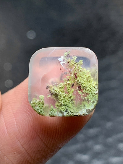 Scenic Moss Agate Square Cabochon 11x11x3.4mm