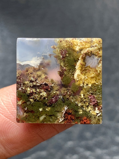 Scenic Moss Agate Square Cabochon 16.5x16.5x4mm