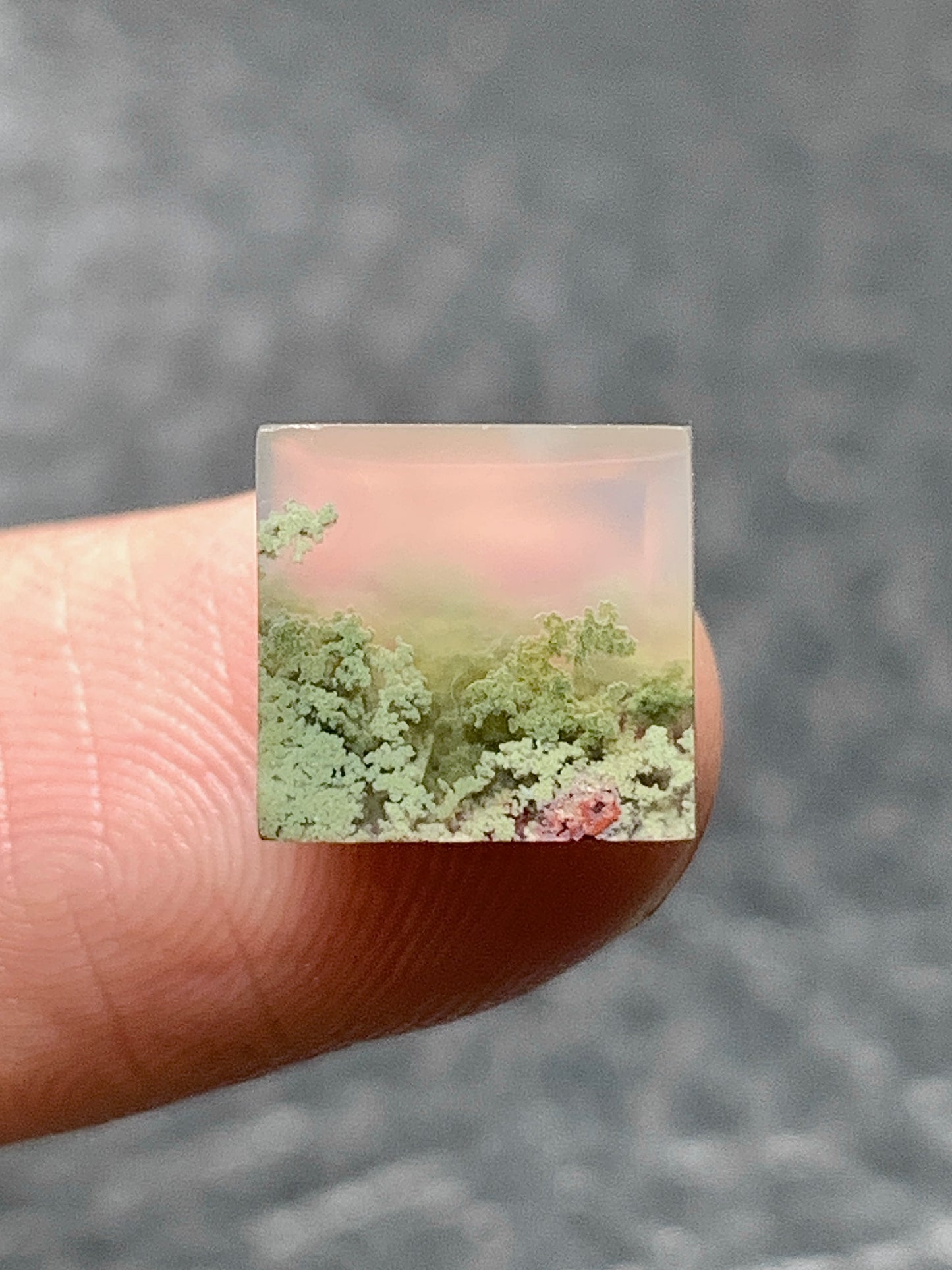 Scenic Moss Agate Square Cabochon 9.5x9x3.2mm