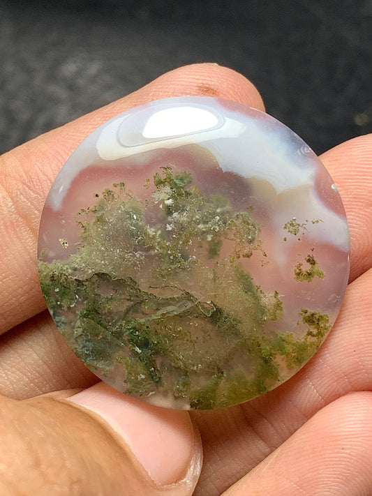 Scenic Moss Agate Round Cabochon 29.5x29.5x5mm