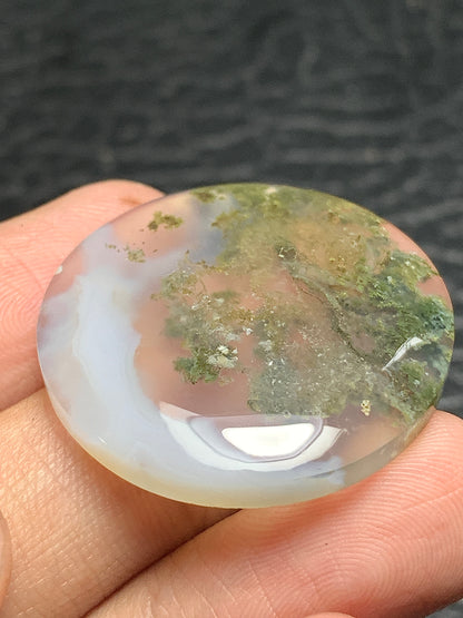 Scenic Moss Agate Round Cabochon 29.5x29.5x5mm