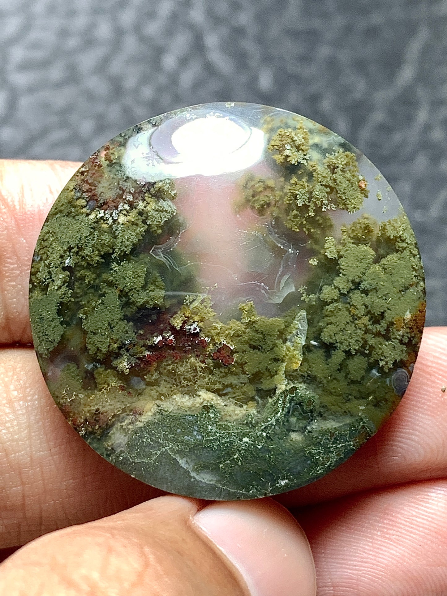 Scenic Moss Agate Round Cabochon 30x30x7.5mm