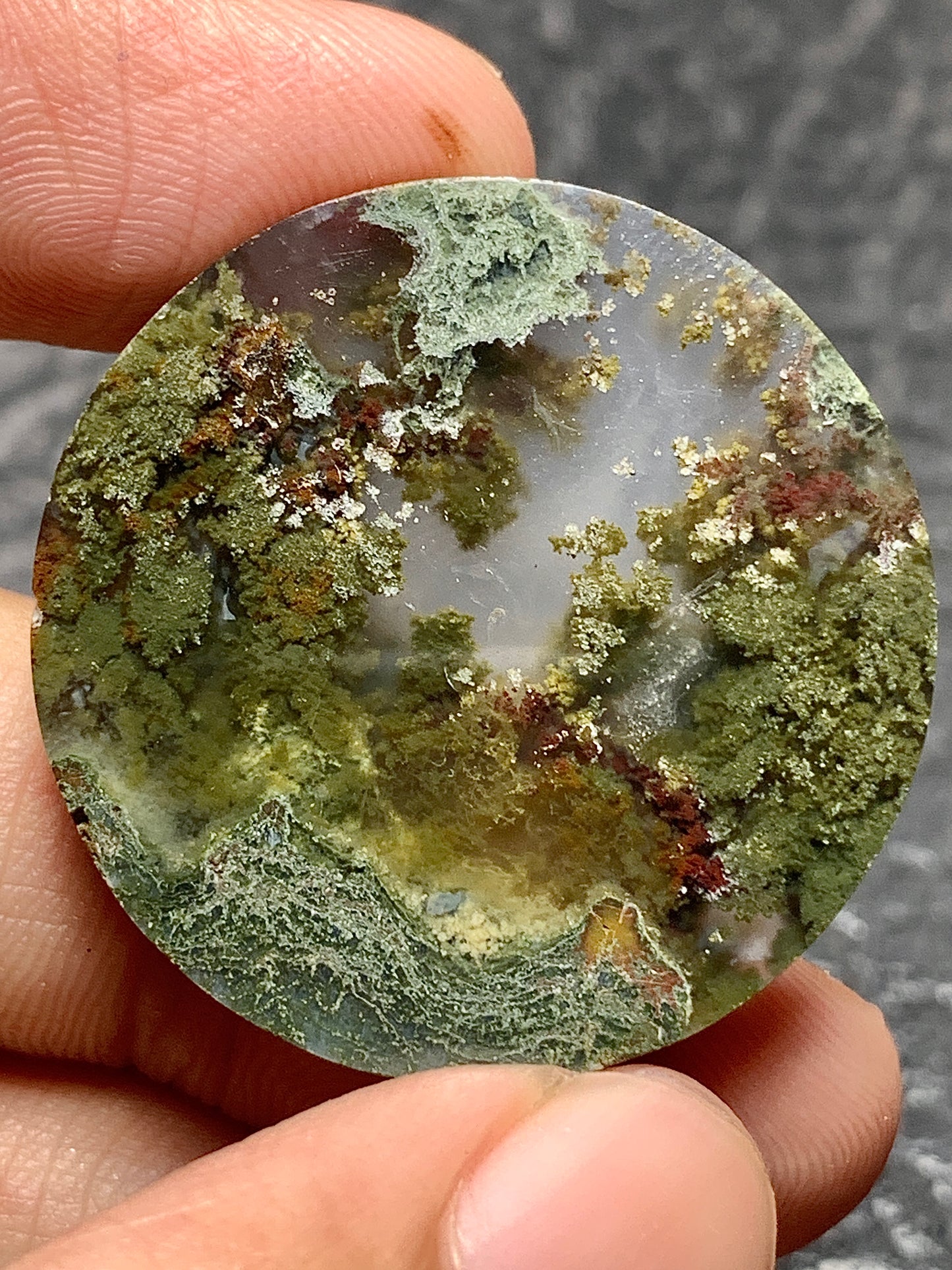 Scenic Moss Agate Round Cabochon 30x30x7.5mm