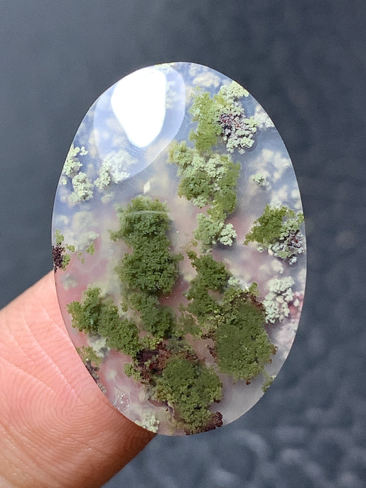 Scenic Moss Agate Oval Cabochon 25x17x4.2mm