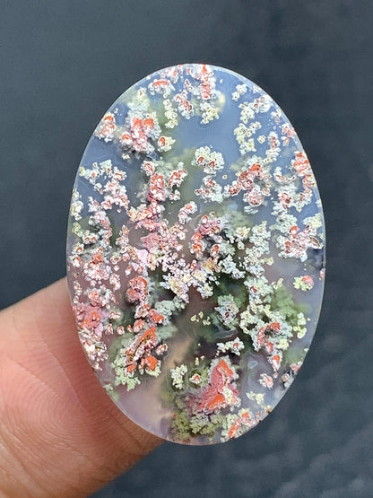 Scenic Moss Agate Oval Cabochon 25x17x4.2mm