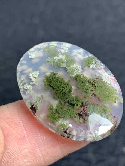 Scenic Moss Agate Oval Cabochon 25x17x4.2mm