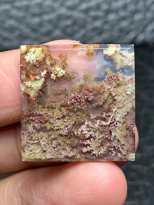 Scenic Moss Agate Square Cabochon 23x23x3mm