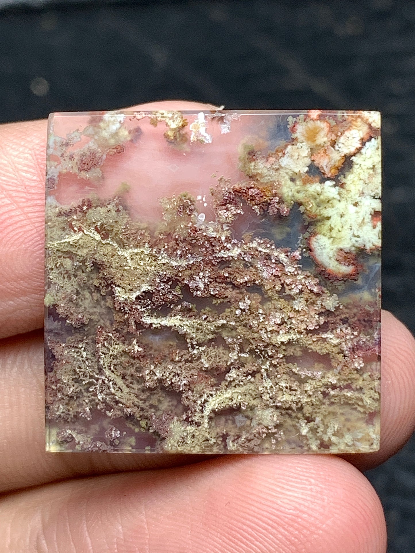 Scenic Moss Agate Square Cabochon 23x23x3mm