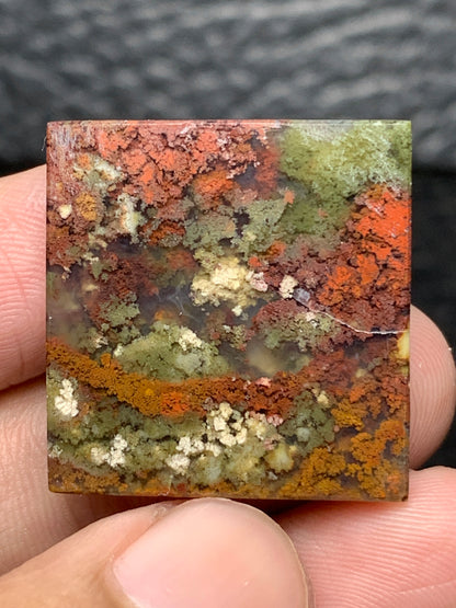 Scenic Moss Agate Square Cabochon 23x23x4.5mm