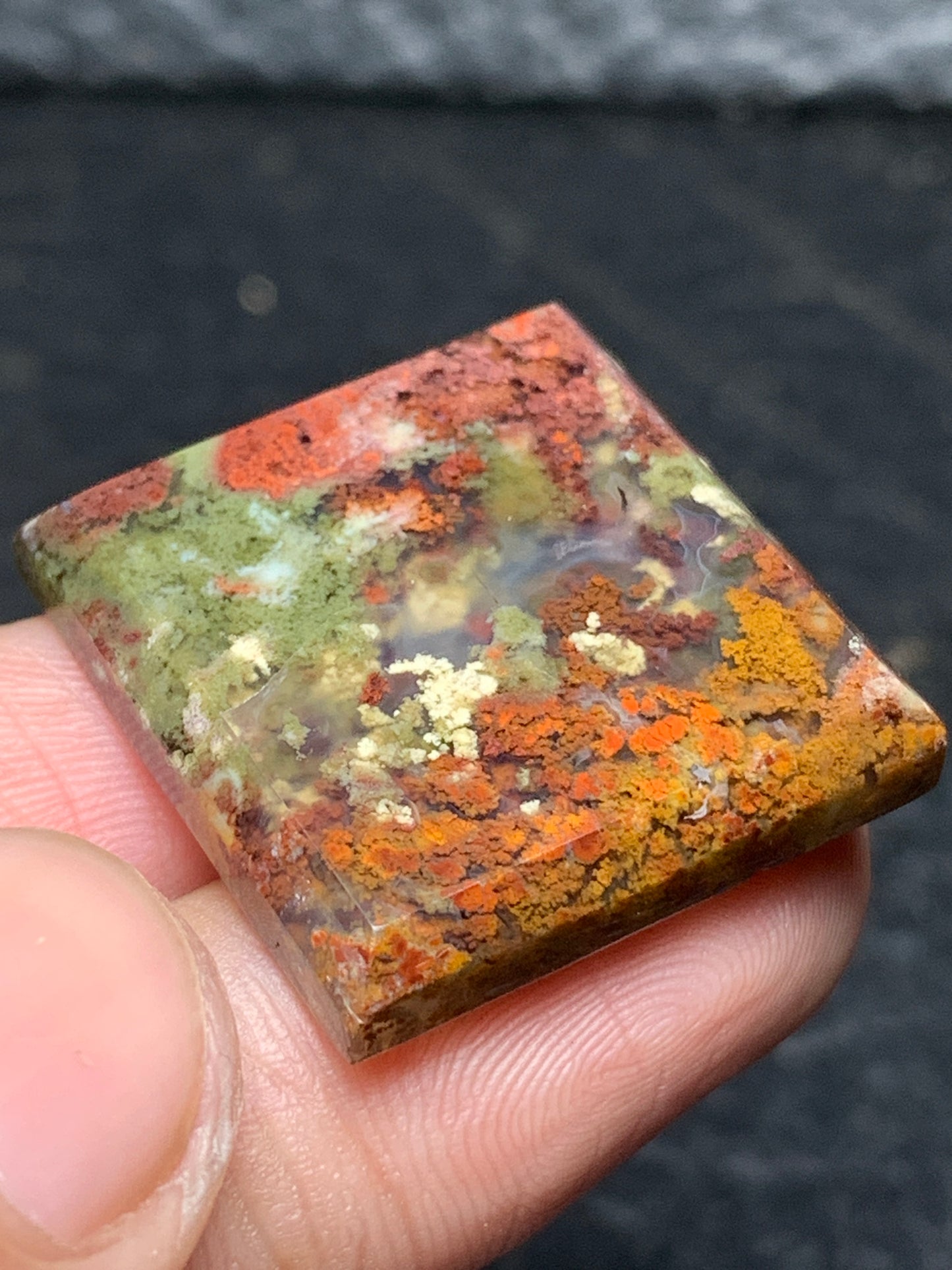 Scenic Moss Agate Square Cabochon 23x23x4.5mm