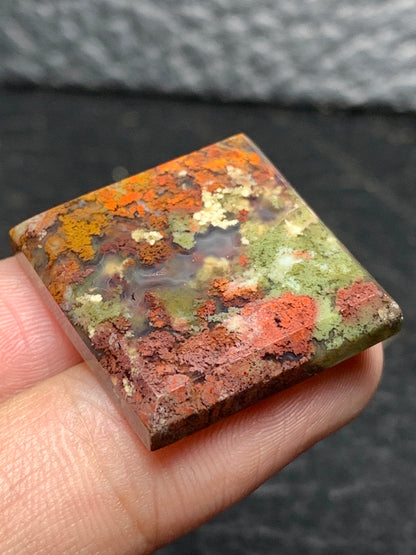 Scenic Moss Agate Square Cabochon 23x23x4.5mm