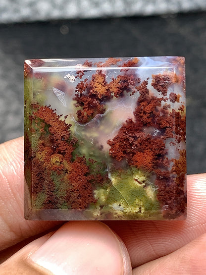 Scenic Moss Agate Square Cabochon 23.5x23.5x5mm