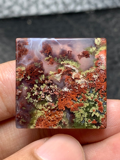 Scenic Moss Agate Square Cabochon 23.5x23.5x5mm