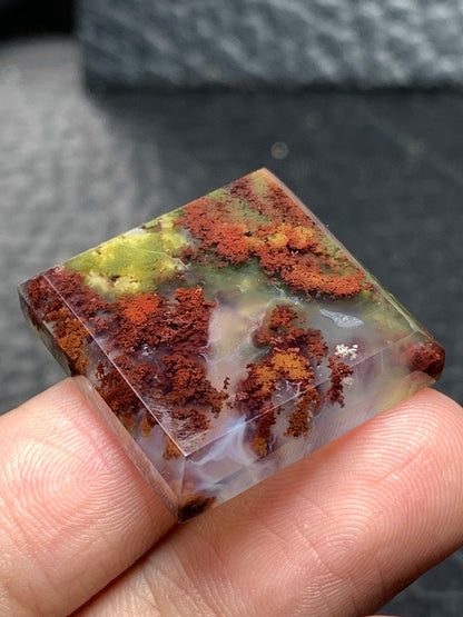 Scenic Moss Agate Square Cabochon 23.5x23.5x5mm