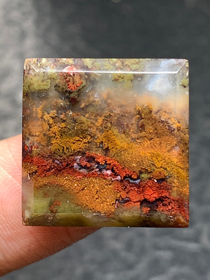 Scenic Moss Agate Square Cabochon 18.5x18.5x5.5mm