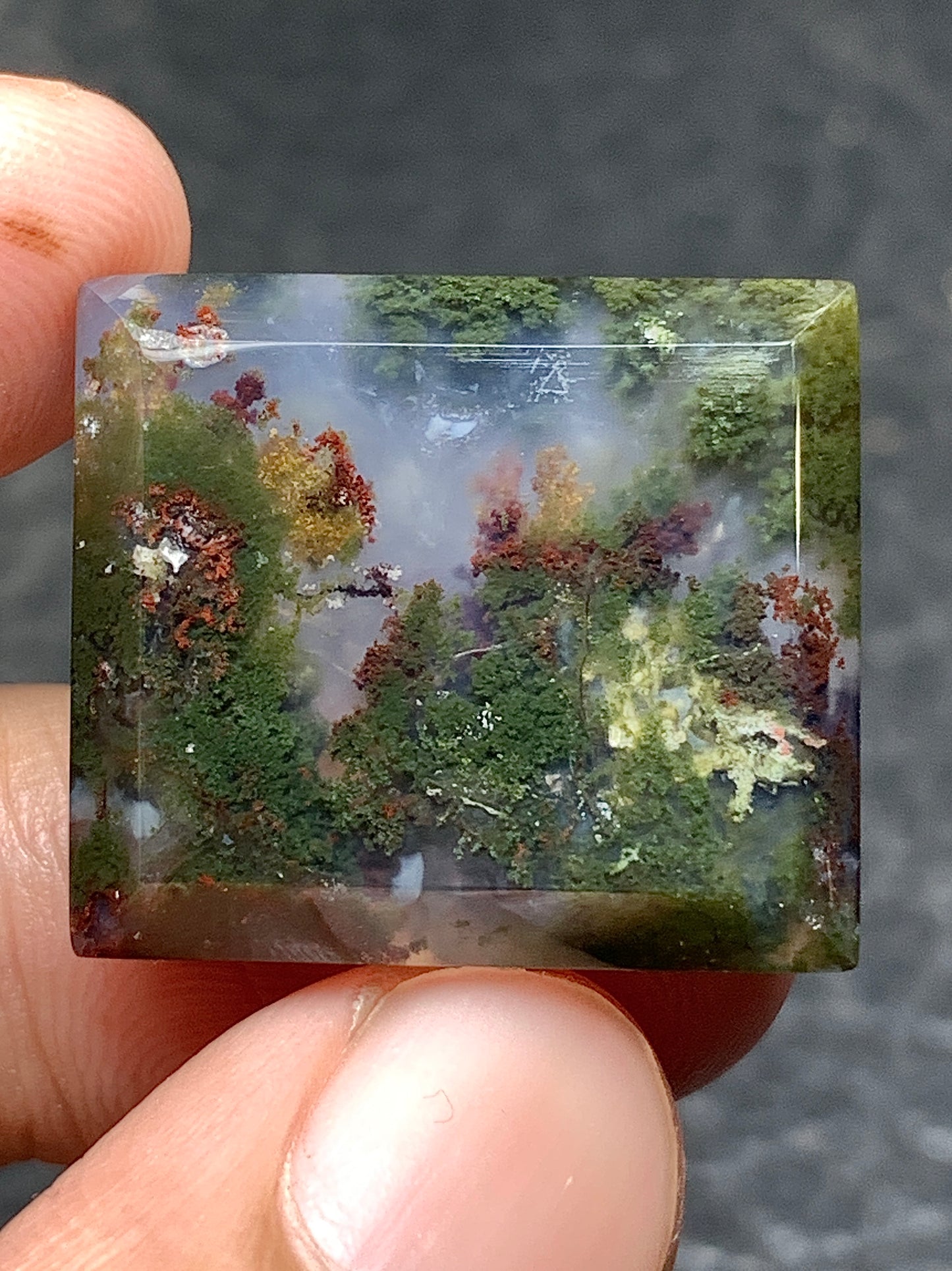 Scenic Moss Agate Square Cabochon 22x19.5x5.5mm