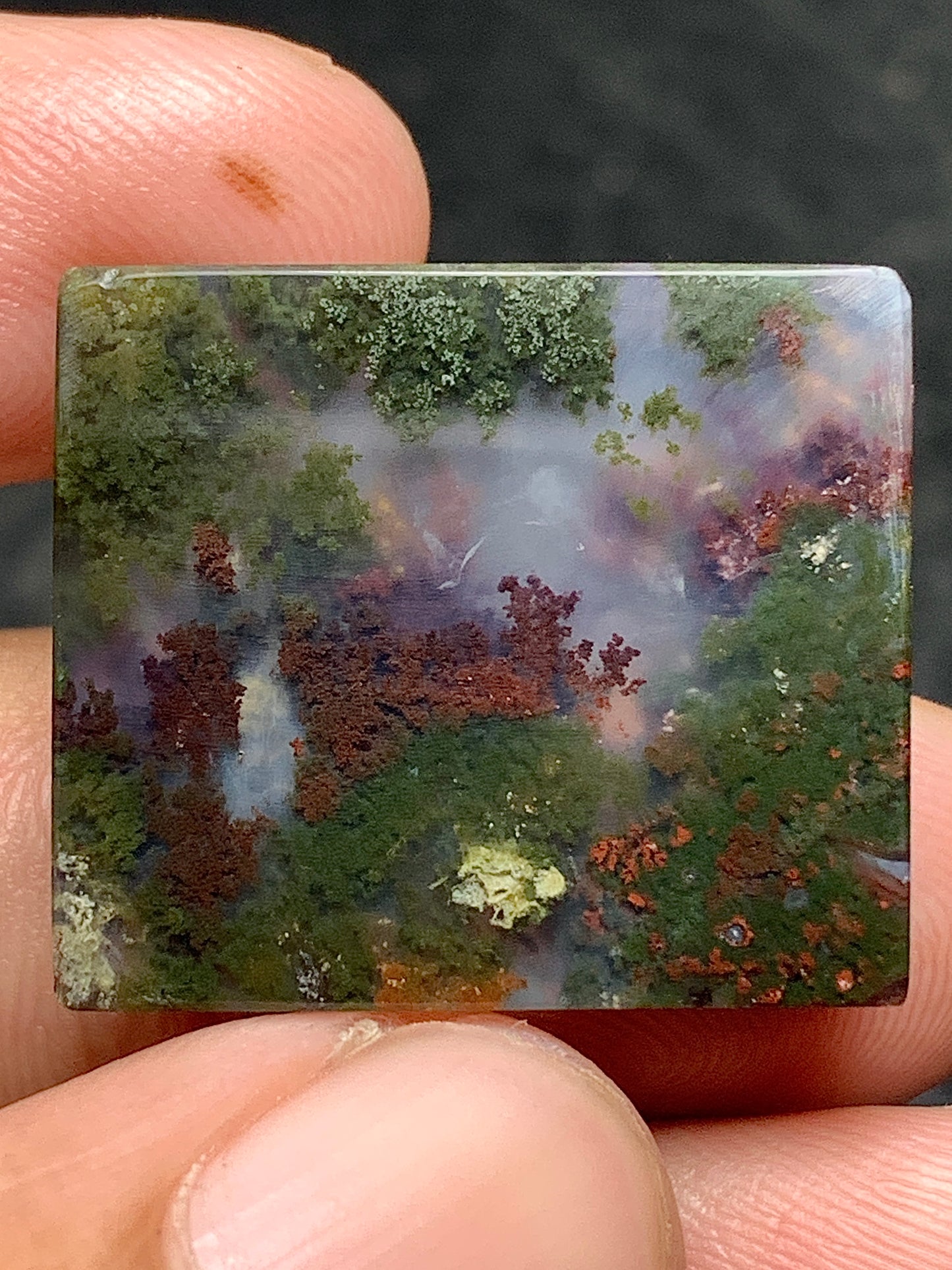 Scenic Moss Agate Square Cabochon 22x19.5x5.5mm