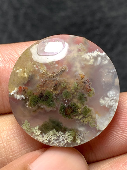 Scenic Moss Agate Round Cabochon 22.5x22.5x6.5mm