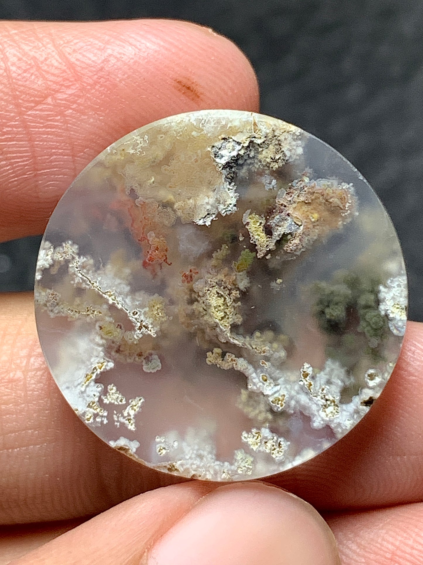 Scenic Moss Agate Round Cabochon 22.5x22.5x6.5mm