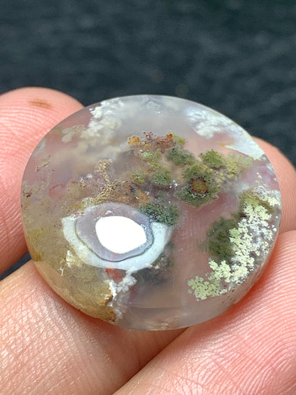 Scenic Moss Agate Round Cabochon 22.5x22.5x6.5mm