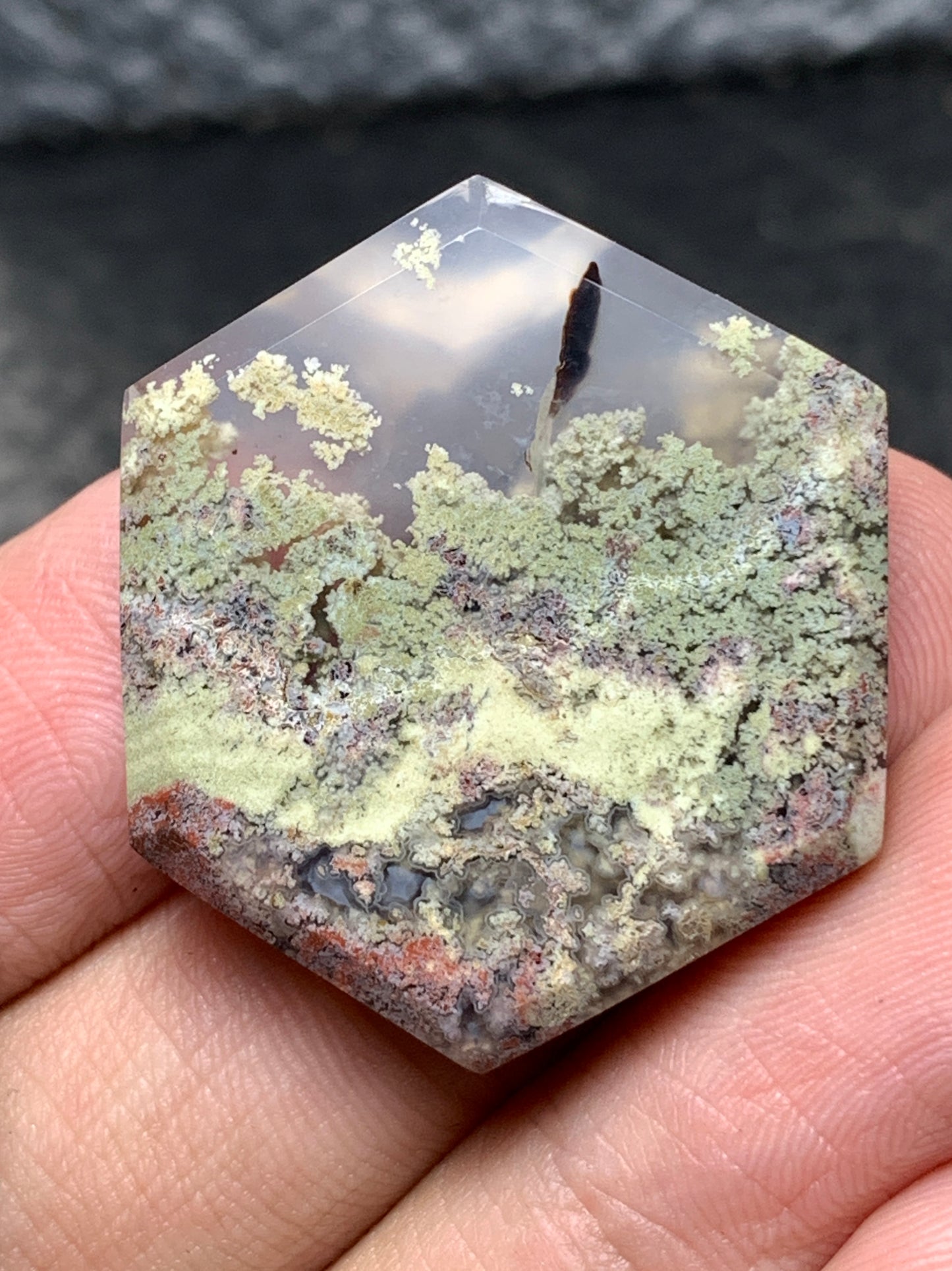 Scenic Moss Agate Hexagon Cabochon 29x26x5mm