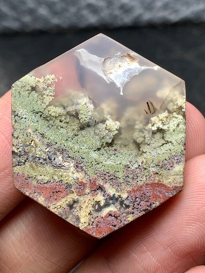 Scenic Moss Agate Hexagon Cabochon 29x26x5mm