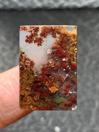 Scenic Moss Agate Rectangle Cabochon 23x15.5x6mm