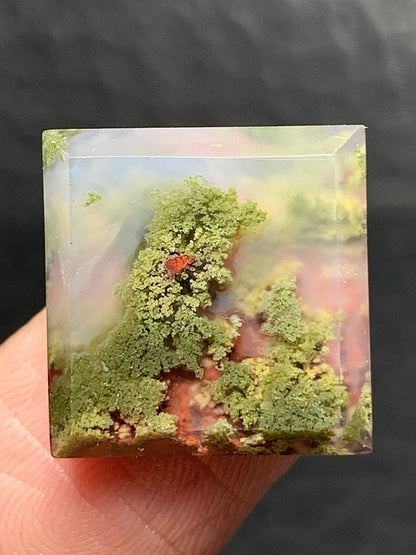 Scenic Moss Agate Square Cabochon 14x14x4mm