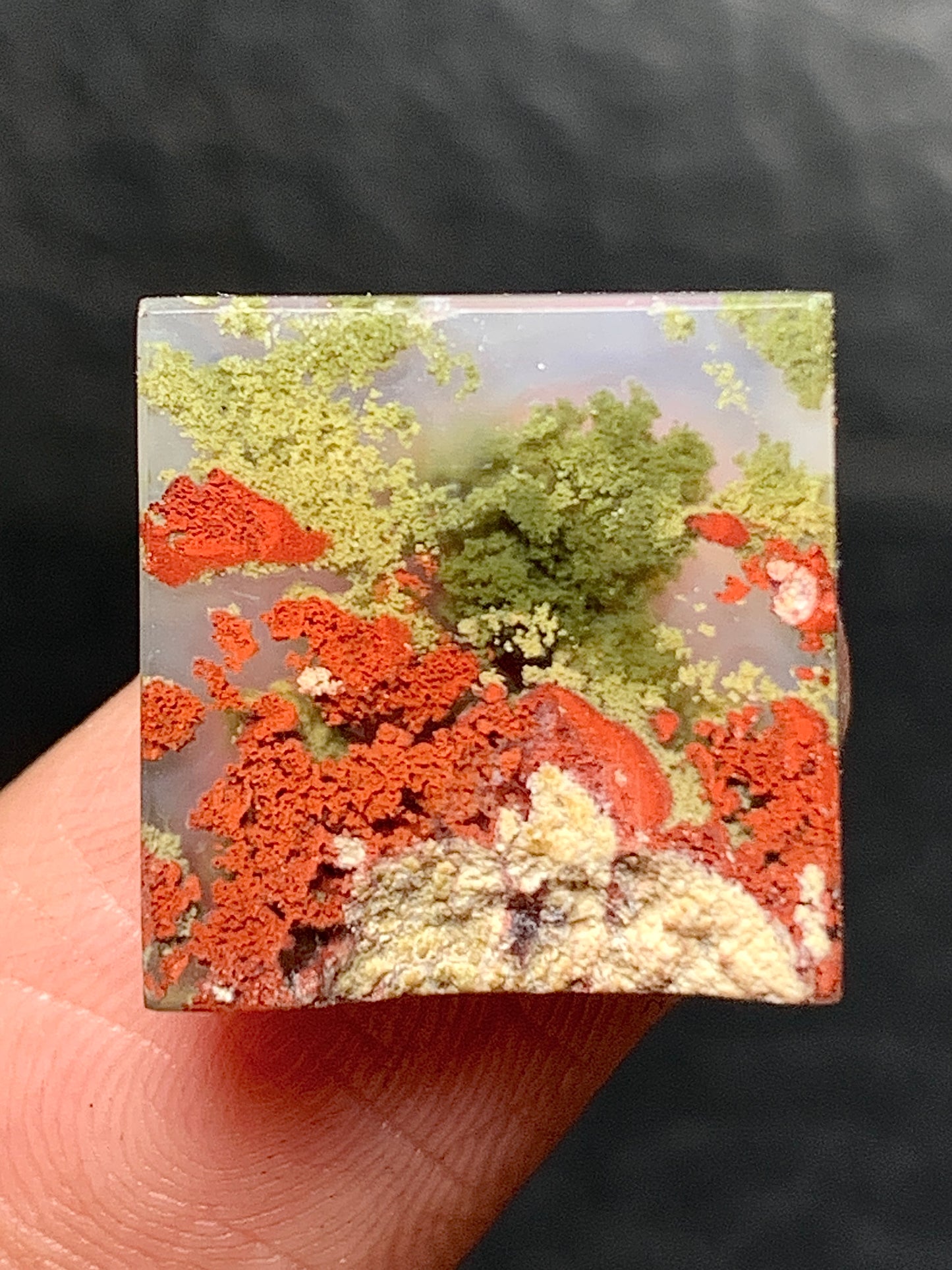 Scenic Moss Agate Square Cabochon 14x14x4mm