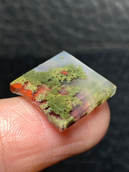 Scenic Moss Agate Square Cabochon 14x14x4mm