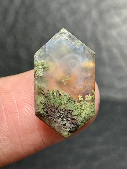 Tiny Scenic Moss Agate Hexagon Cabochon 18x10x5mm