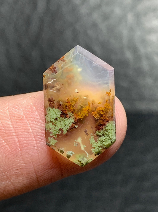 Scenic Moss Agate Hexagon Cabochon 16.5x10x3.5mm