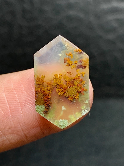 Scenic Moss Agate Hexagon Cabochon 16.5x10x3.5mm