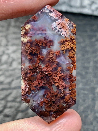 Natural Moss Agate Hexagon Cabochon 34x15.5x5mm