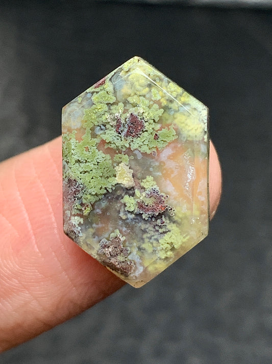 Natural Moss Agate Hexagon Cabochon 18x11x4mm