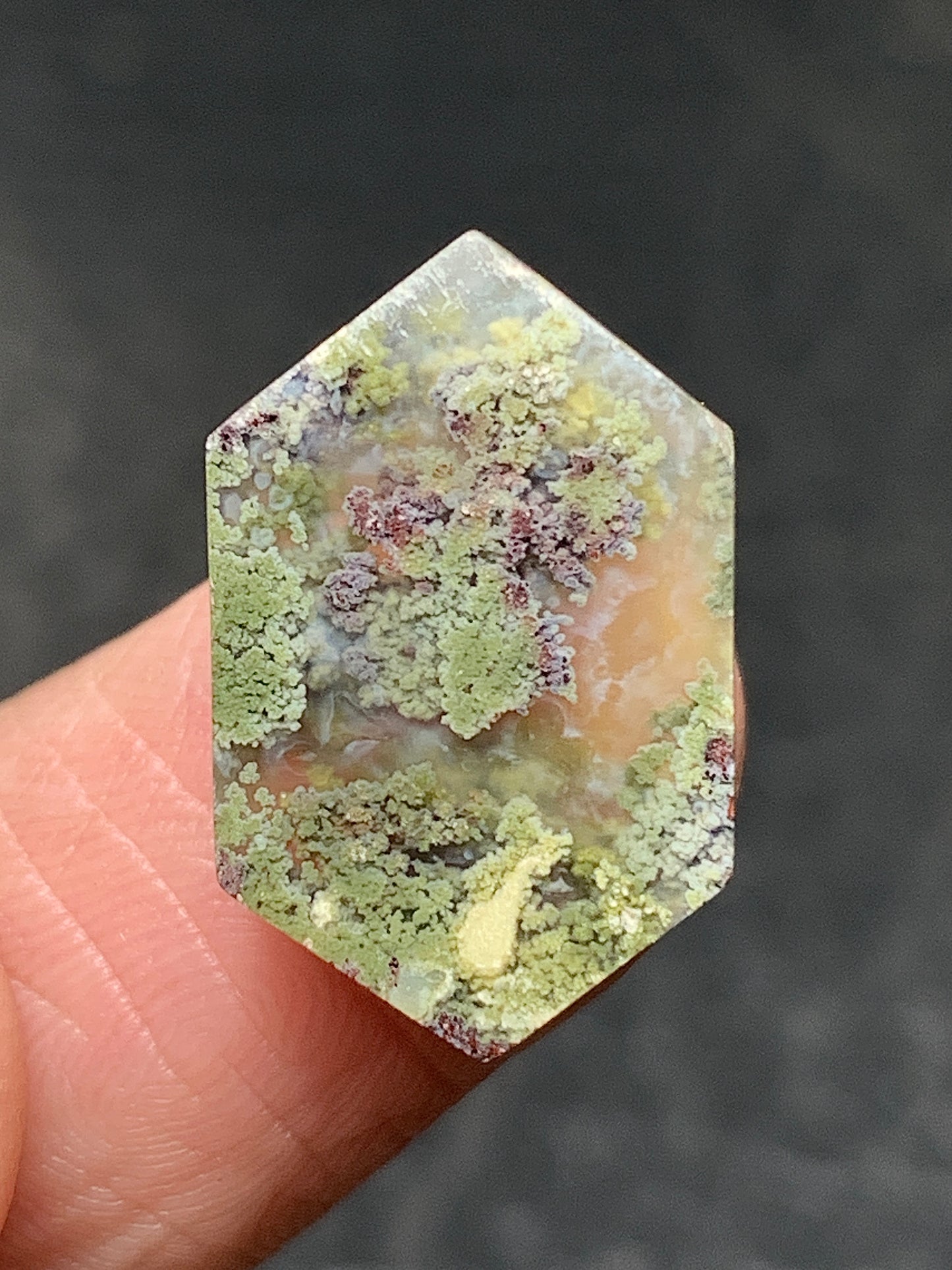 Natural Moss Agate Hexagon Cabochon 18x11x4mm