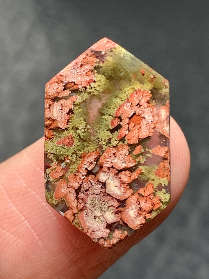 Natural Moss Agate Hexagon Cabochon 18x11x4mm