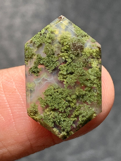 Natural Moss Agate Hexagon Cabochon 18x11x3mm