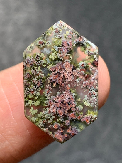 Natural Moss Agate Hexagon Cabochon 18x11x3mm