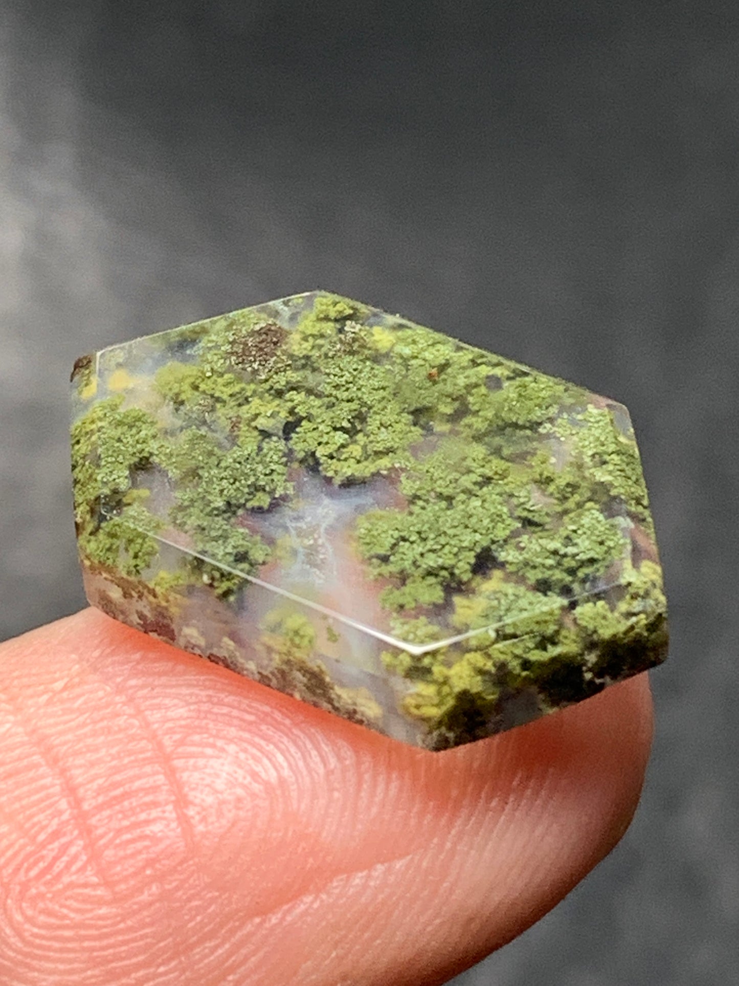 Natural Moss Agate Hexagon Cabochon 18x11x3mm