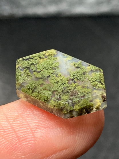 Natural Moss Agate Hexagon Cabochon 18x11x3mm