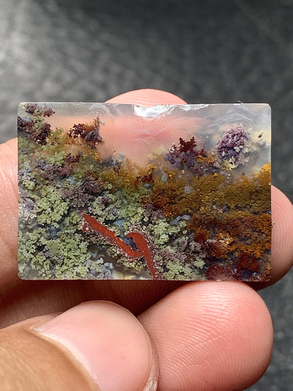 Scenic Moss Agate Rectangle Cabochon 28x19.5x4.5mm