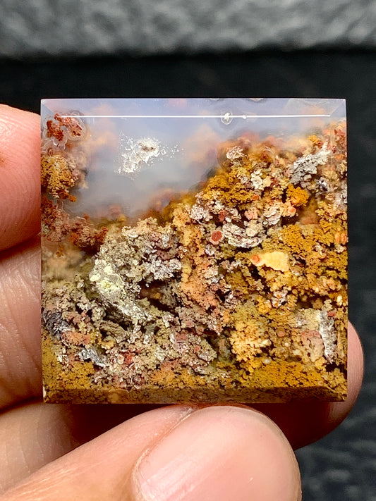 Scenic Moss Agate Square Cabochon 24x24x4mm