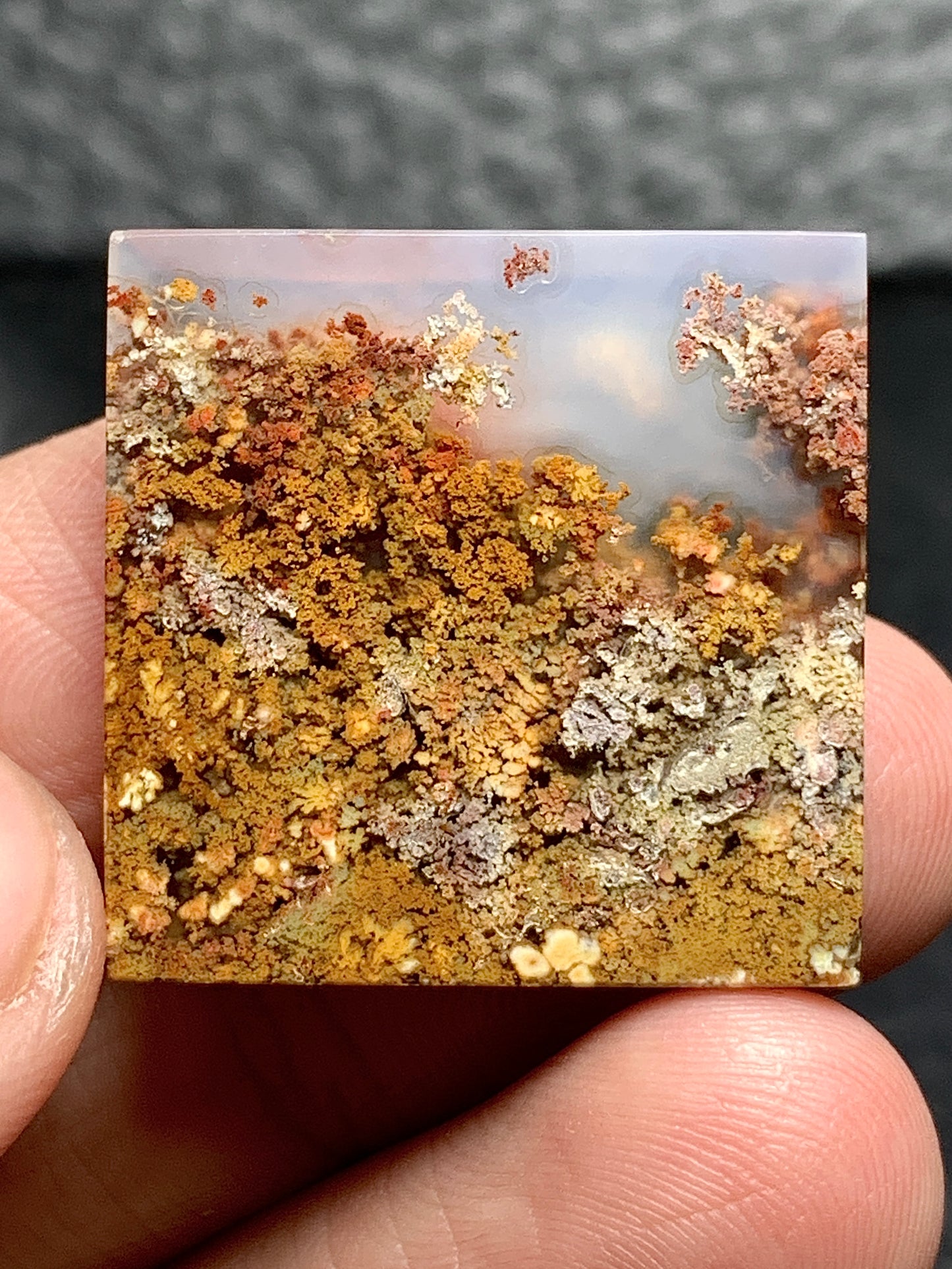 Scenic Moss Agate Square Cabochon 24x24x4mm