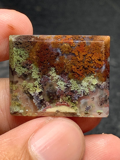 Scenic Moss Agate Rectangle Cabochon 23x19x3.5mm