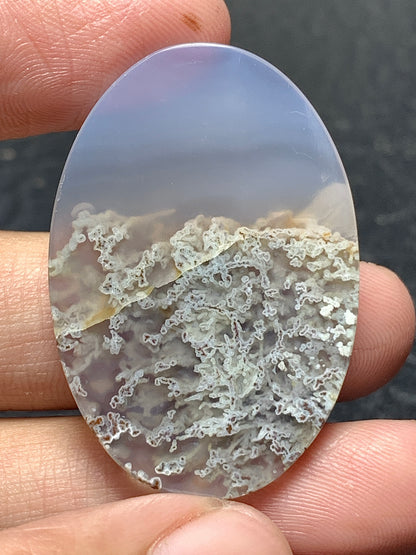 Scenic Moss Agate Oval Cabochon 37.5x25.5x6mm